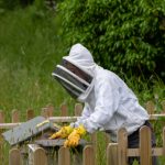 免费观看拍拍10000 69proe