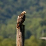 八戒八戒午夜视频 o9oqegno