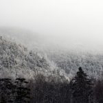 免费做人爱视频 yvh0sr